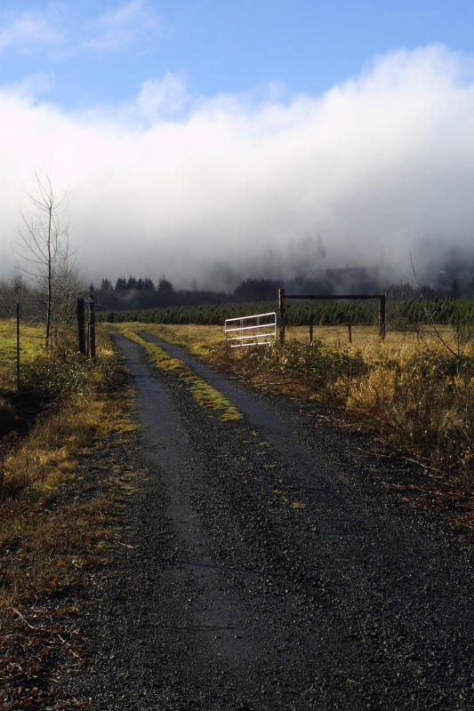 CRW_6450.jpg