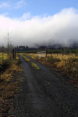 CRW_6450.jpg
