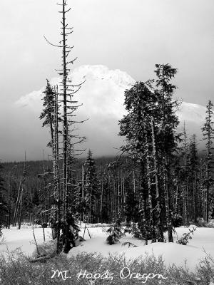 DSCN5716.jpg