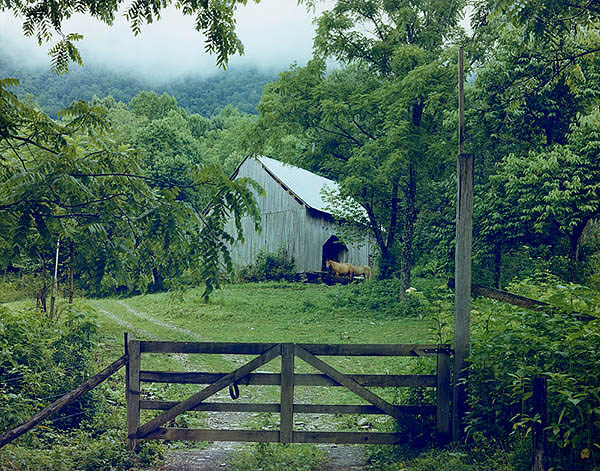 Barn with Horses, Townsend, Tennessee