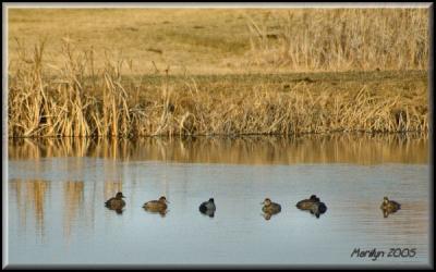 'just floating along ... '