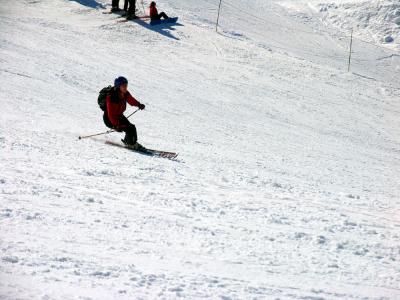 Sue skiing 2.jpg