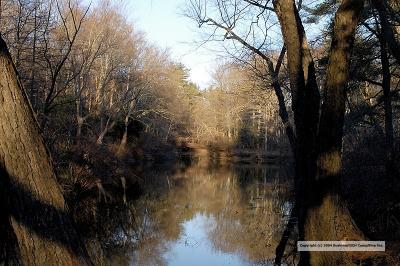 DSC_0644.jpg