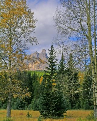 DSCN2452.jpg