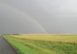 Rainbow.jpg