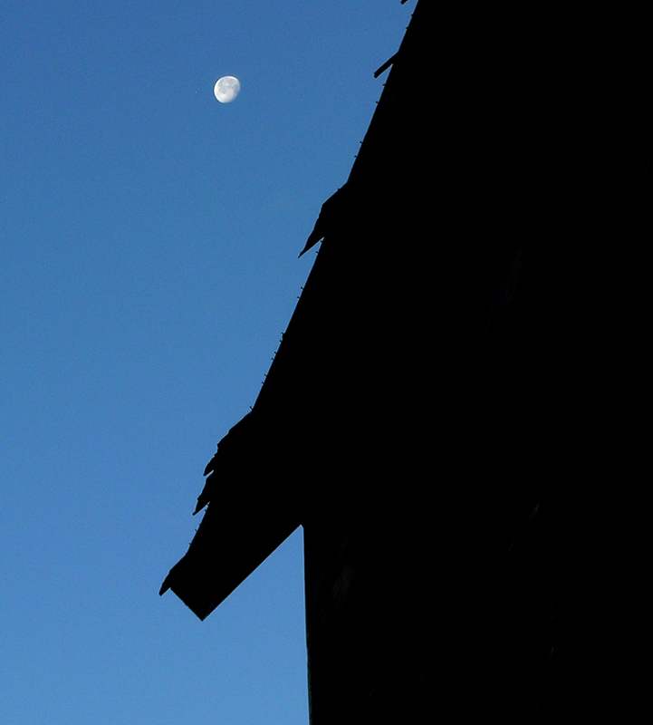 Ragged Roof.jpg