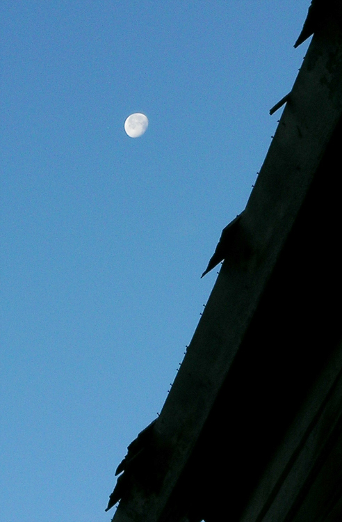 Ragged-Roofline.jpg