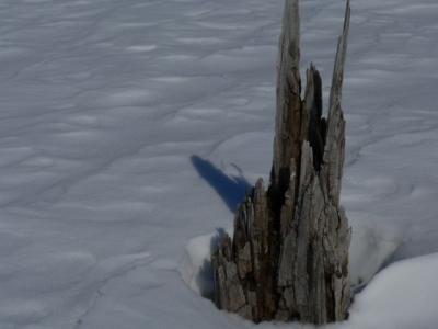 Huntmar_Mar_05_20050003.JPG