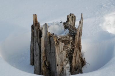 DSC_0019.JPG