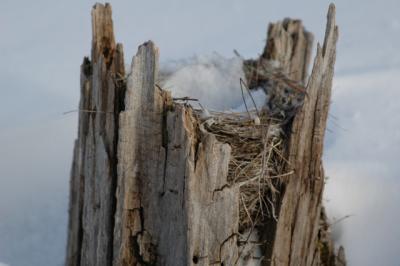 DSC_0020.JPG