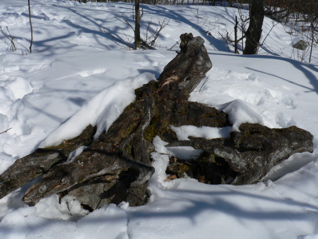 Huntmar_Mar_05_20050002.JPG