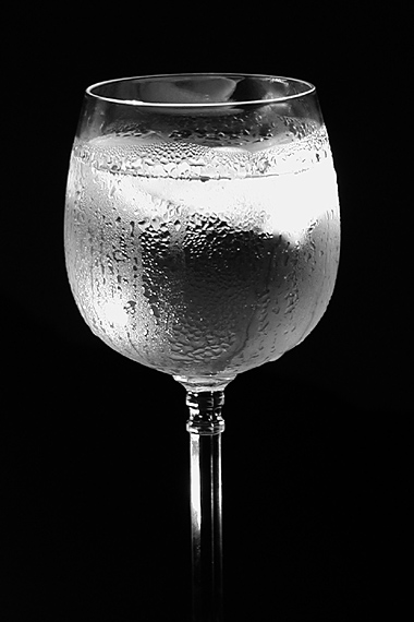 <b><I>4th Place</I></B> <BR>Chillin <BR>by Greg CA
