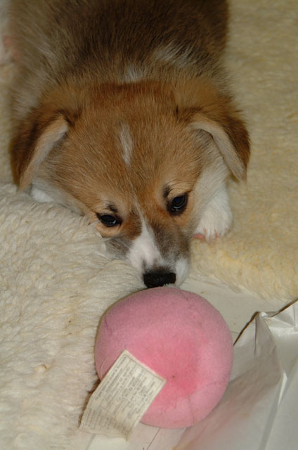 DSCF1316.jpg