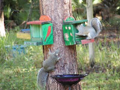 A little friendly competition for breakfast