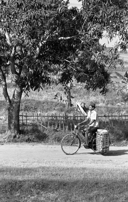 Bicycle with Saddlebags