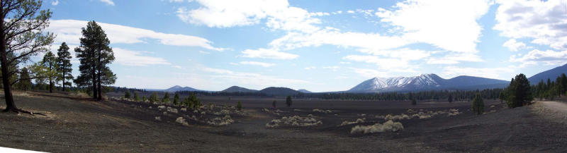 Cinder Field south of Sunset Crater