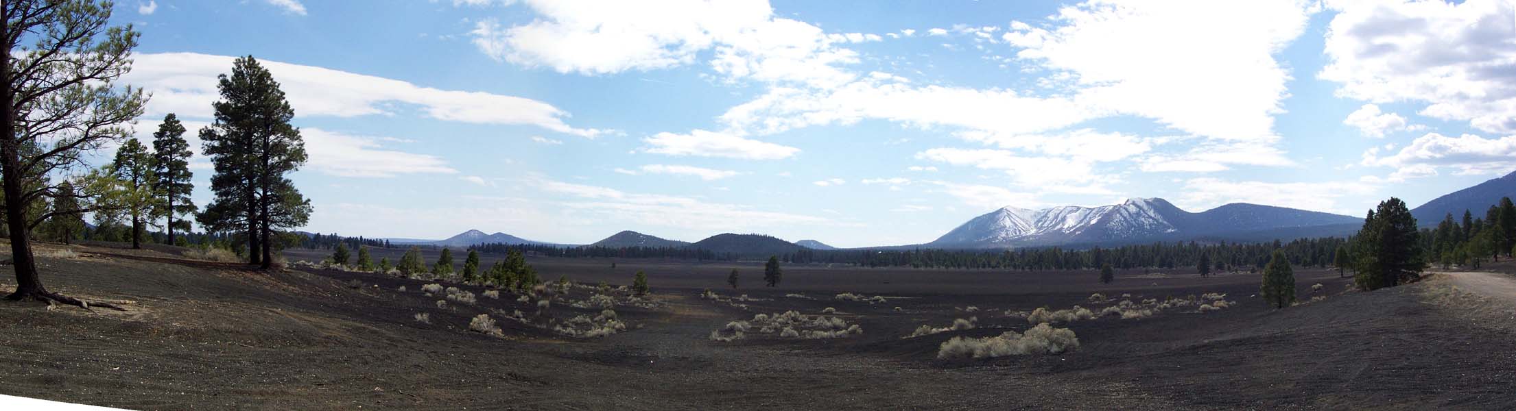 Cinder Field south of Sunset Crater