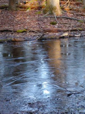 JPG CS Frozen Pond P2191199.jpg