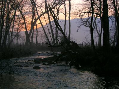 JPG CS Sunrise Stream P3068447.jpg