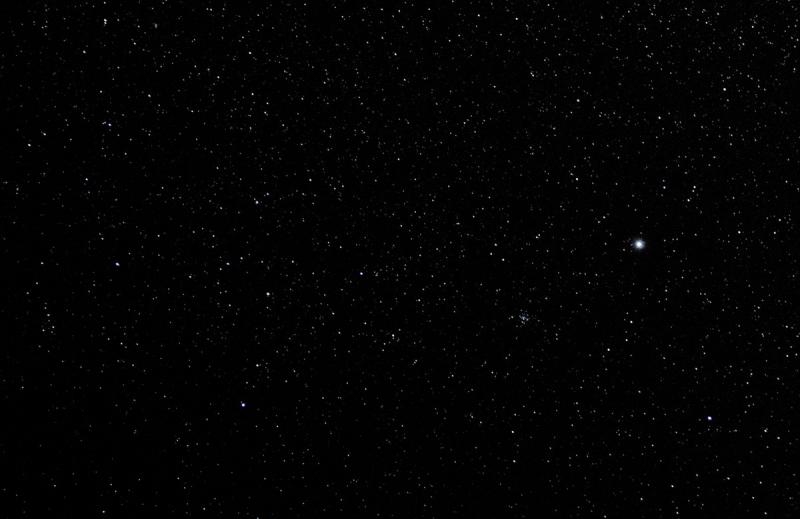 Canis Major