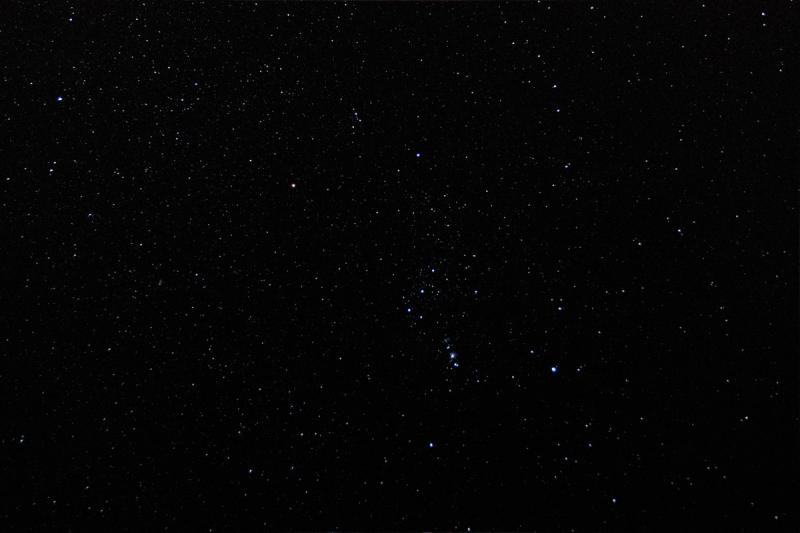 Orion