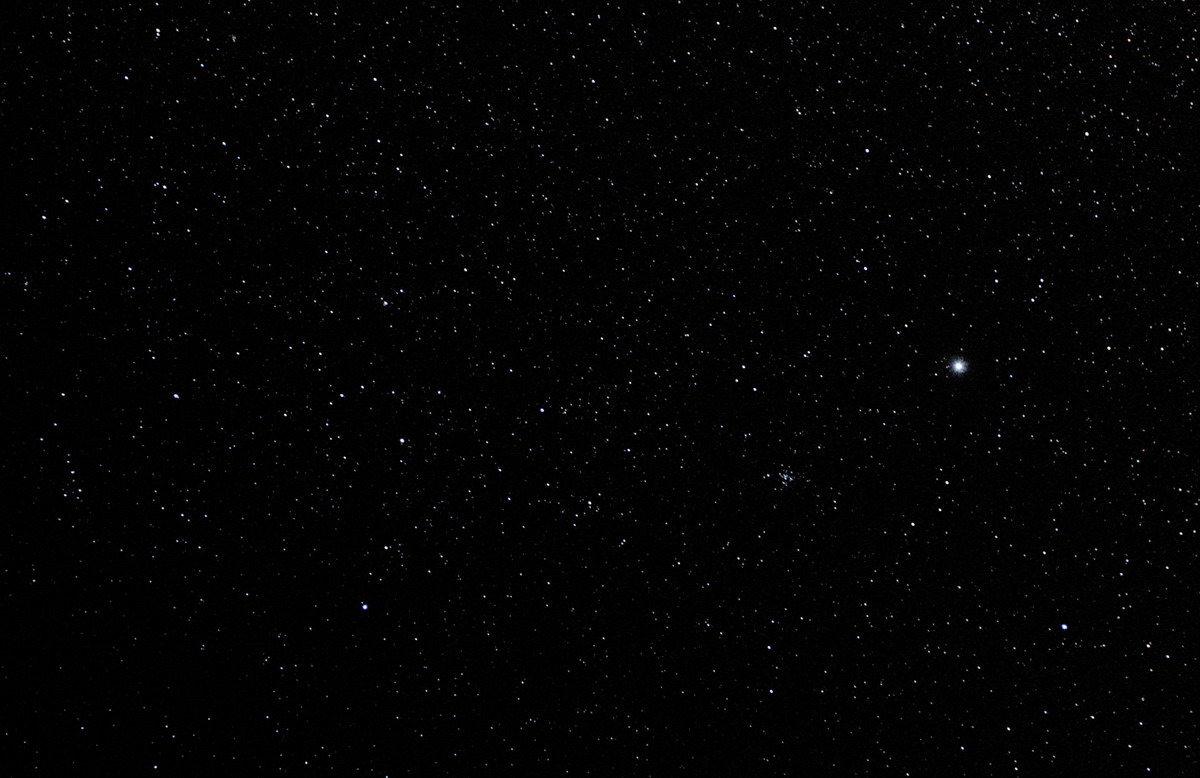 Canis Major
