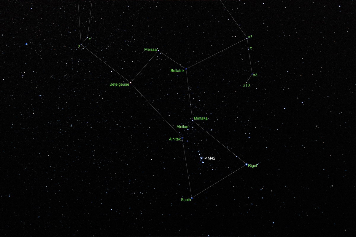 Orion
