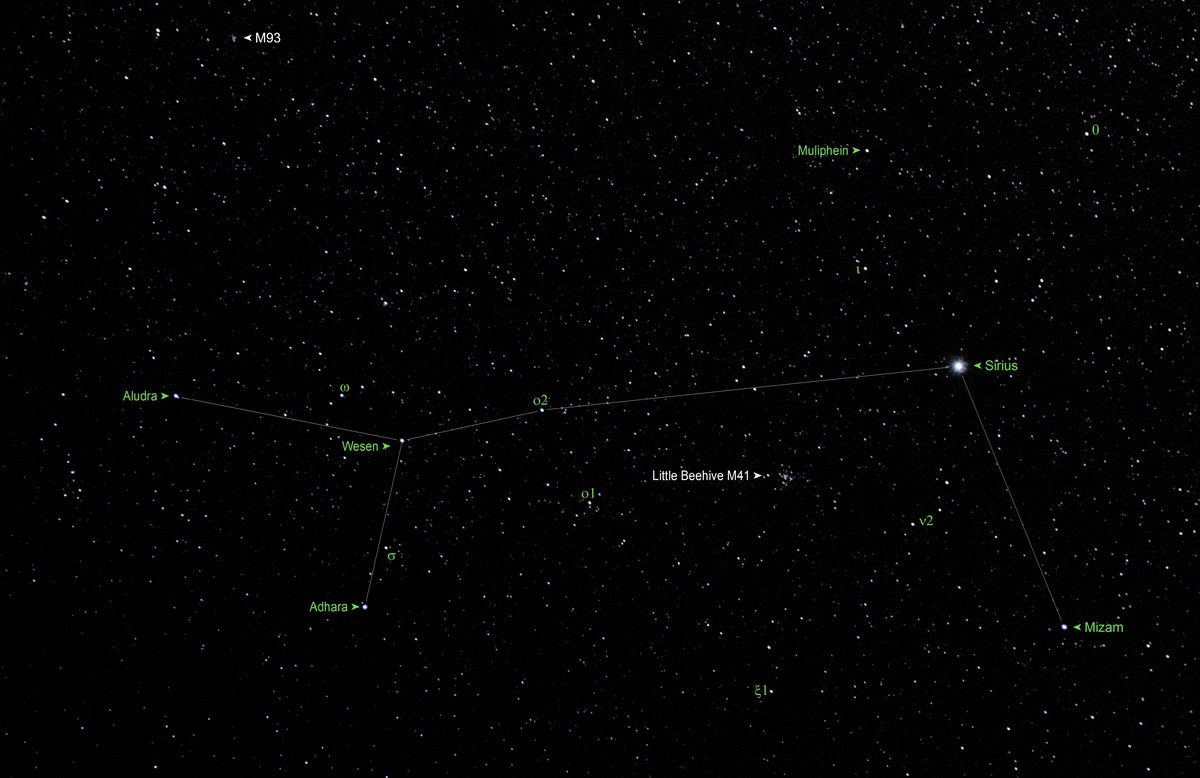 Canis Major