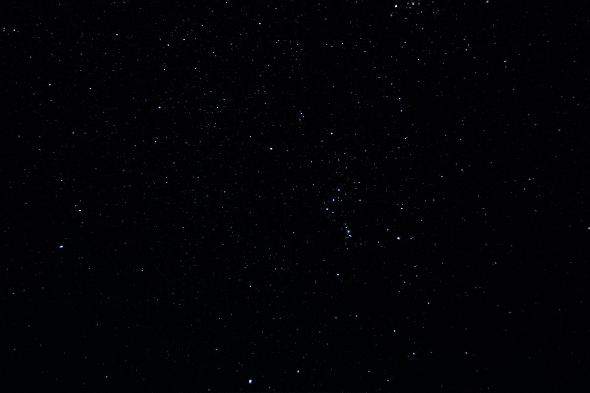 Orion, Lepus, Monoceros & Canis Minor