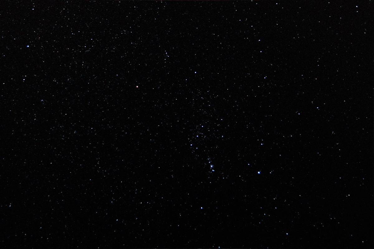 Orion