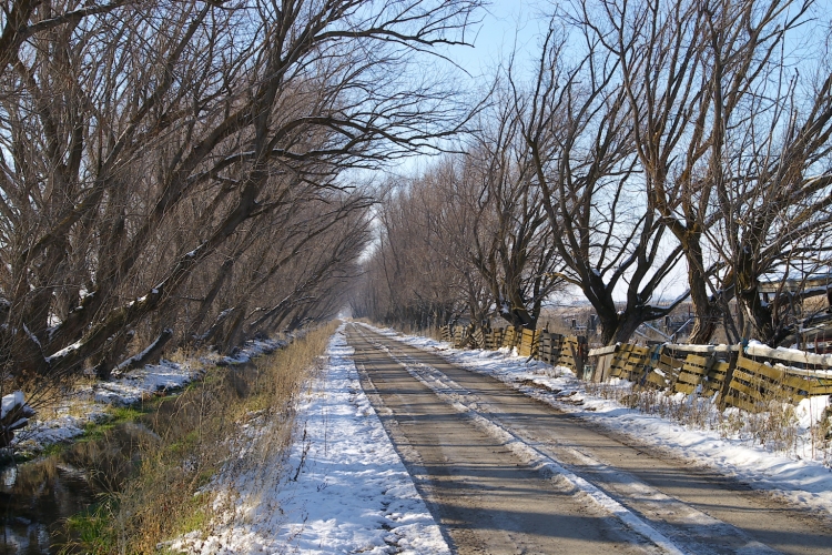 Watery Lane