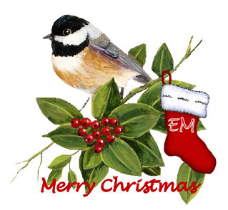 Em Xmas 2.jpg
