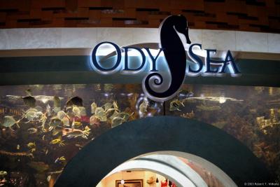 Ody Sea Store