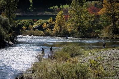 Fishing The Beaverkill