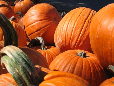 Pumpkins 2003