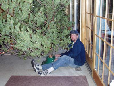 Tree adjustment