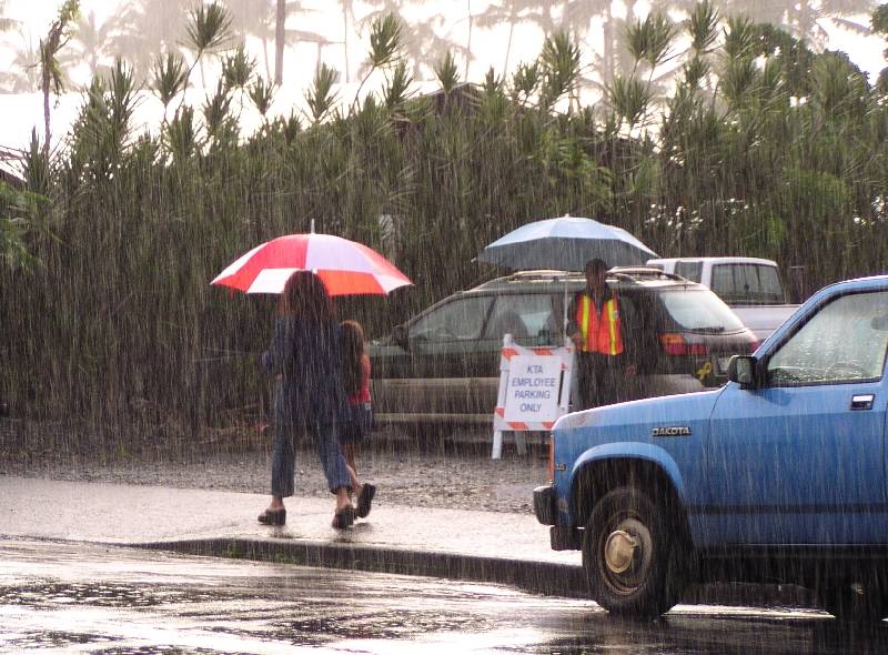 Hilo rain