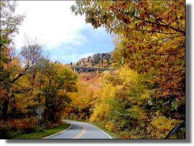 Fall Colors in Western North Carolina