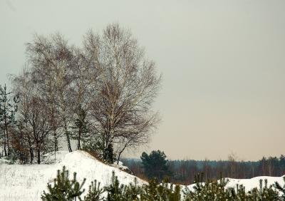 u5/smok53/medium/40935348.DSC_2490acm.jpg