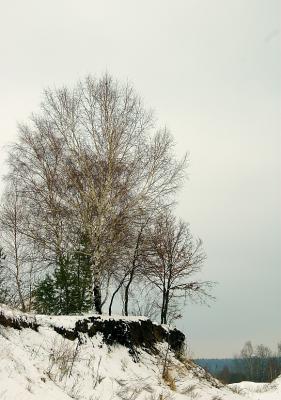 u5/smok53/medium/41059799.DSC_2506acm.jpg