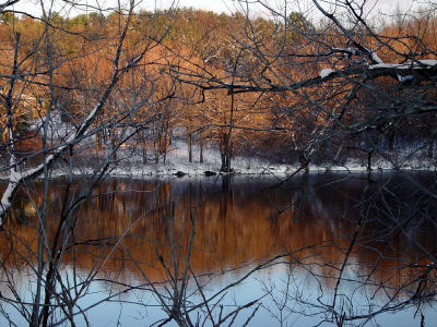 First Snow 2.jpg