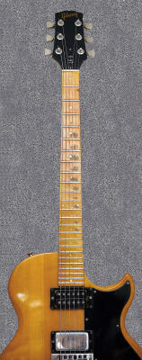 Gibson 2 pano.jpg