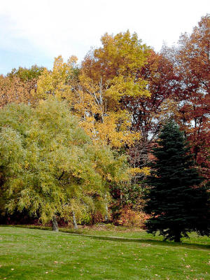  LEICESTER GOLF COURSE 02.jpg