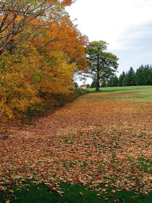  LEICESTER GOLF COURSE 03.jpg