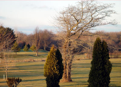 Indian Meadows Golf Course.jpg