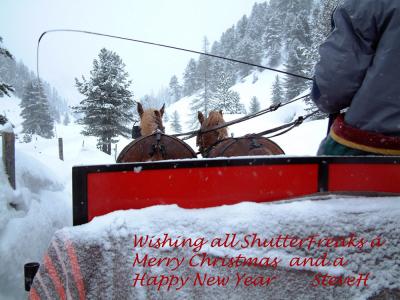 u5/steveh/medium/37137623.sleigh_ride_greeting_SF.jpg