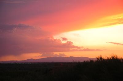 Sunset Shower