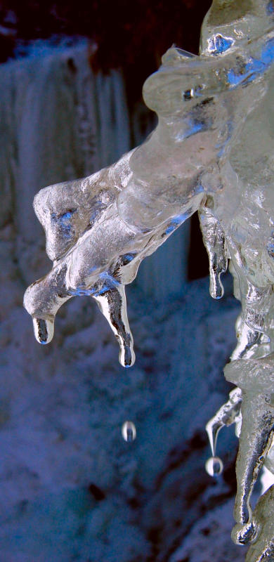 January Thaw by Shutter