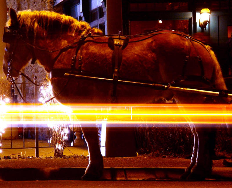 The Headlight Horseman