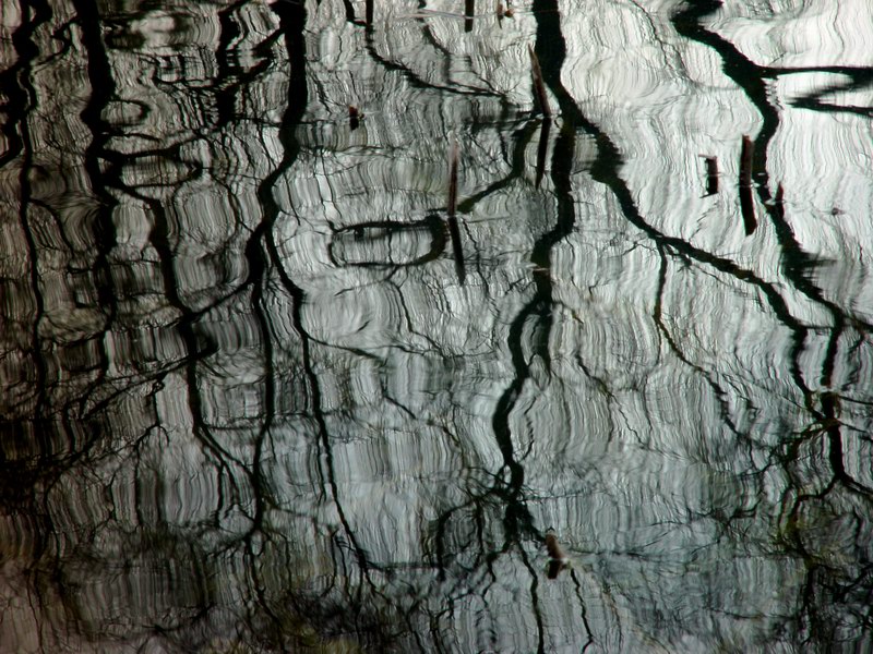 Motion Reflection